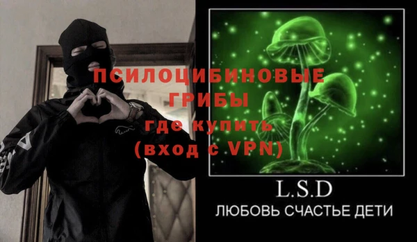 шишки Алексин