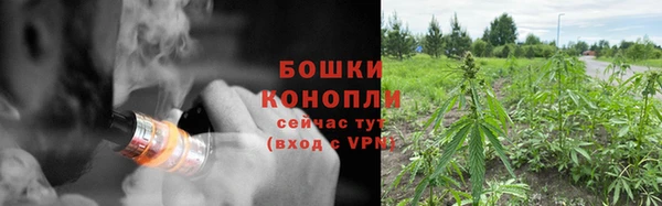 СК Аркадак