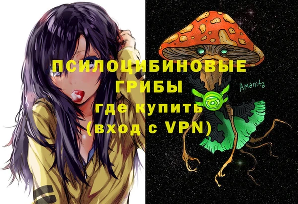 гашик Балахна