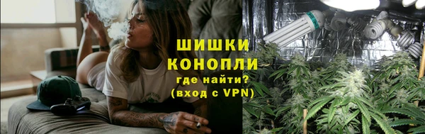 сатива Армянск