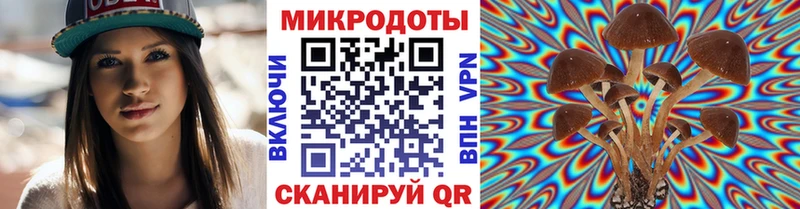 Галлюциногенные грибы прущие грибы  как найти   Рошаль 