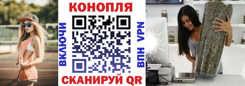 Конопля SATIVA & INDICA Рошаль